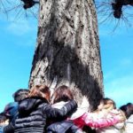 Bambini e al.beri, foto di Marzia Cassandro