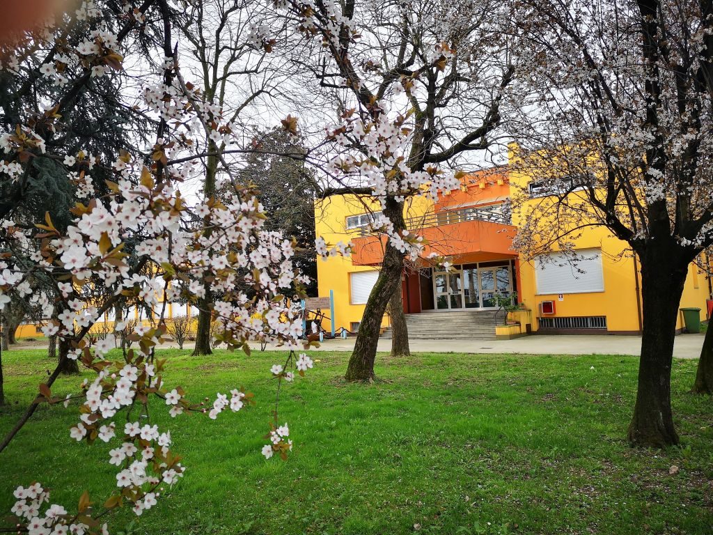 La Primavera davanti al Campioni Mascherpa
