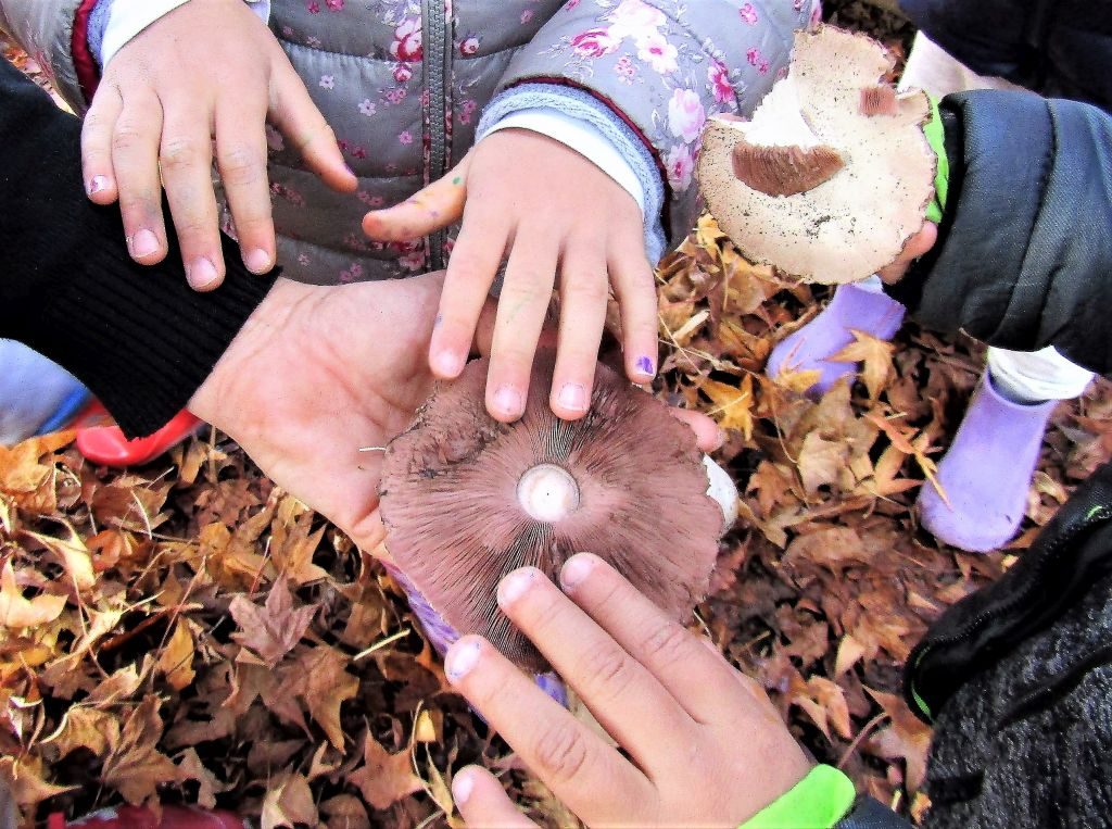 Mani in eplorazione, scuola dell'infanzia. Fotografia di Isabella Bonariva