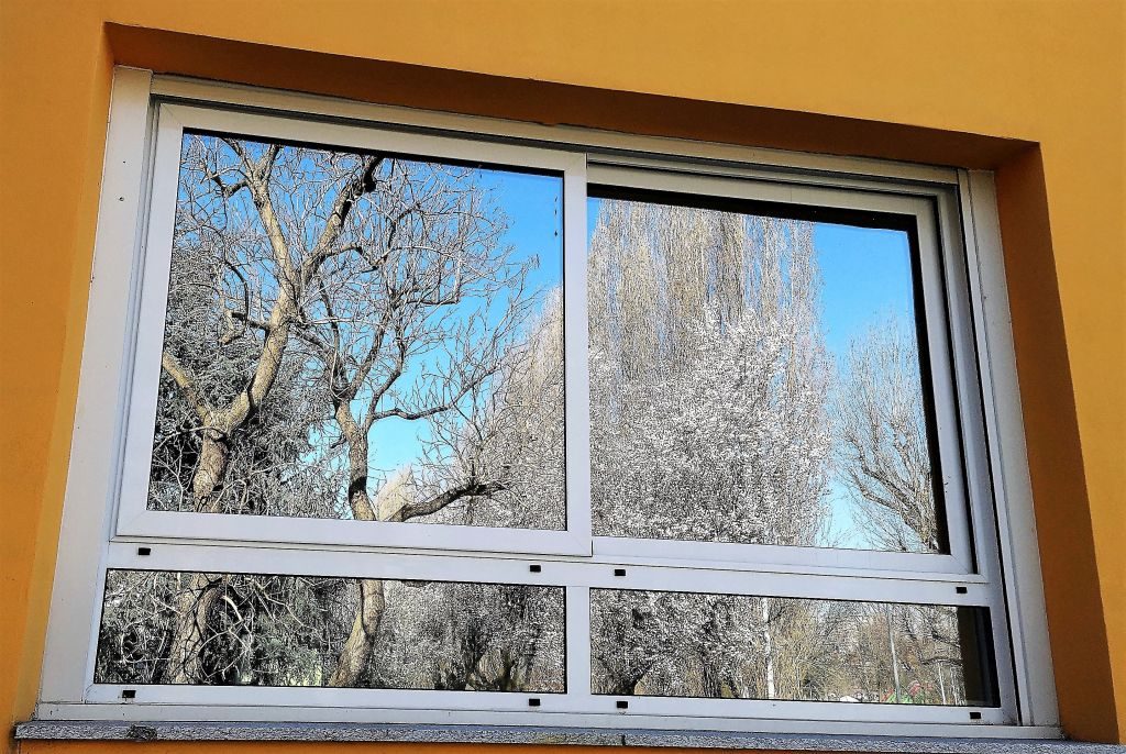 La primavera chiama sui vetri del Campioni