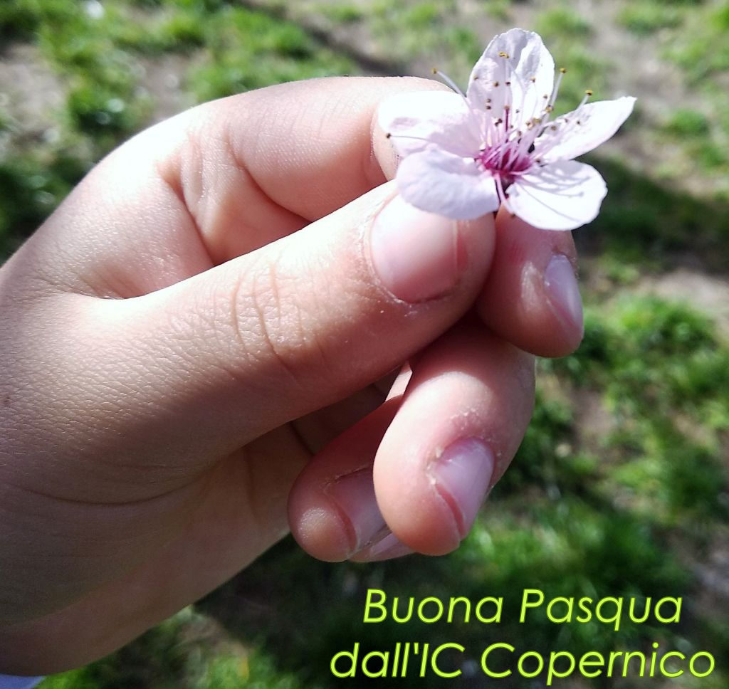 Buona Pasqua dall'IC Copernico