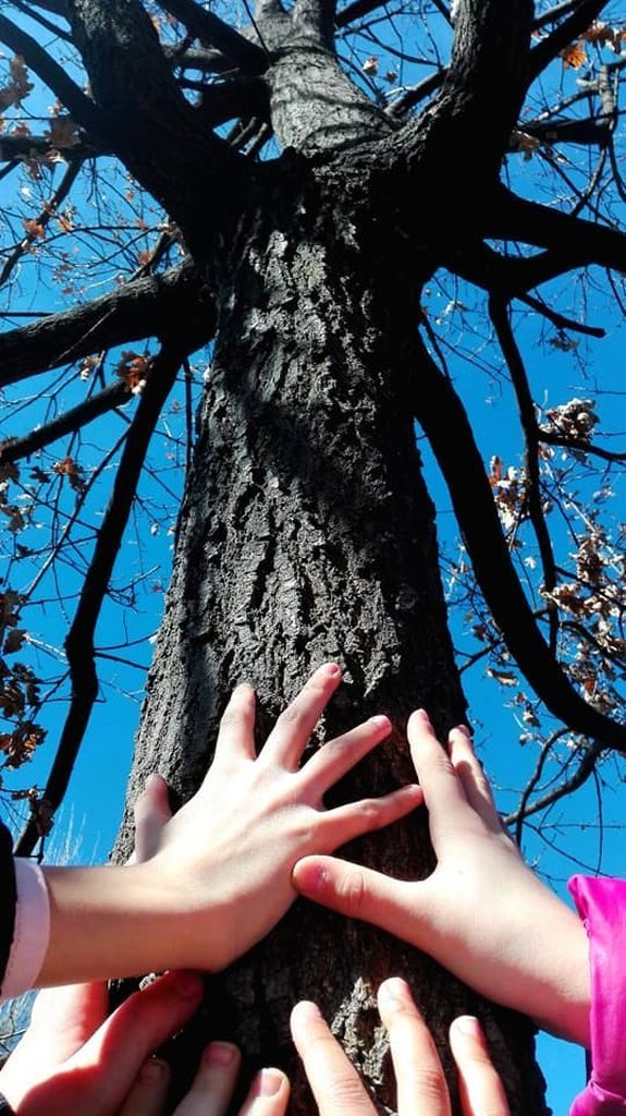 Mani che sorreggono. Fotografia di Marzia Cassandro