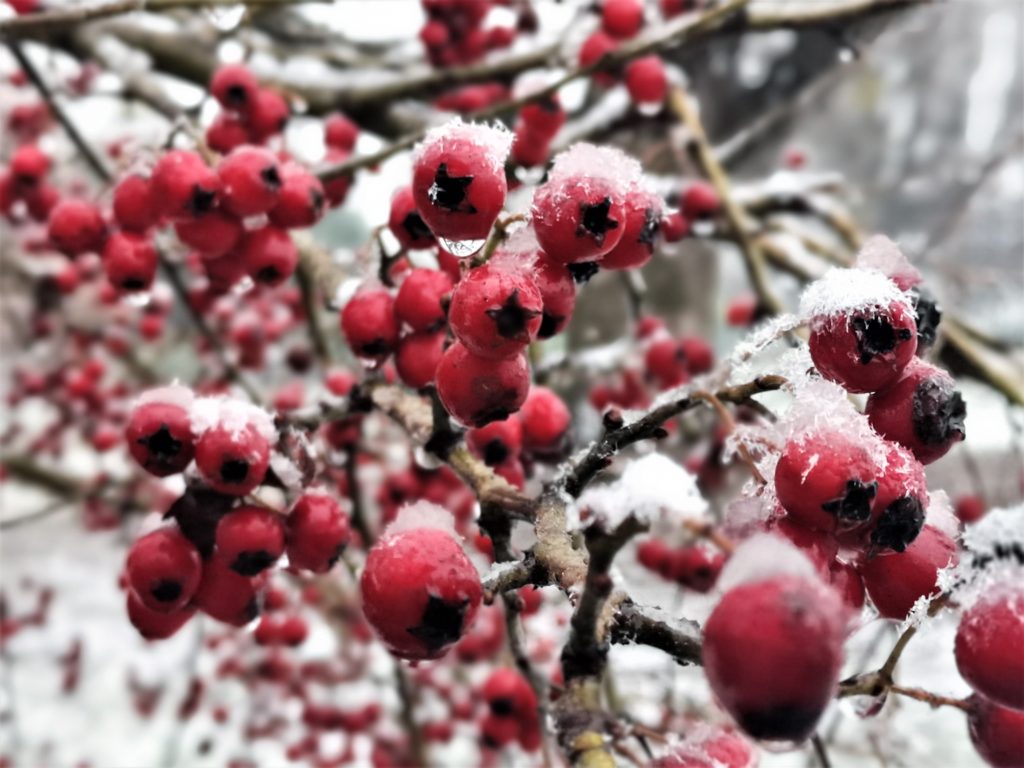 Neve al Giorgella