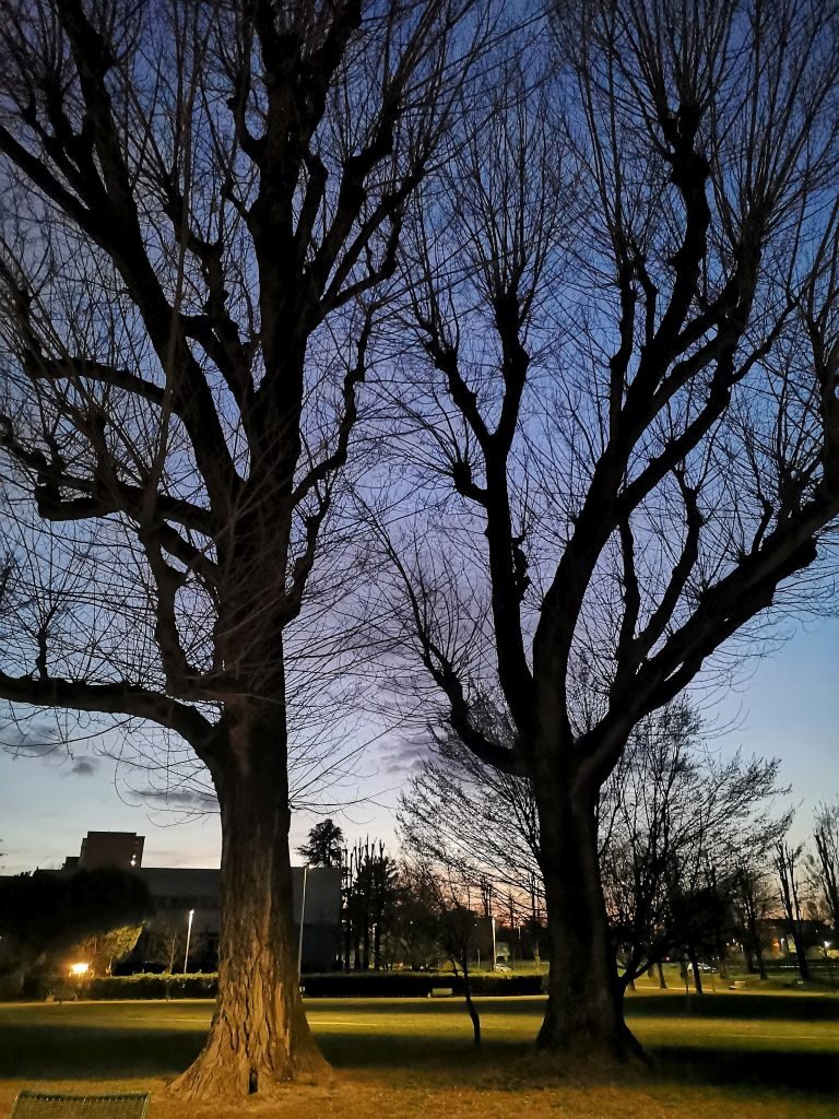 Il parco Giorgella. Verso sera