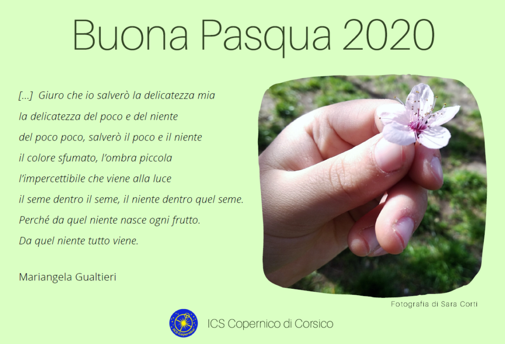 Buona Pasqua dall'ICS Copernico. Fotografia di Sara Corti