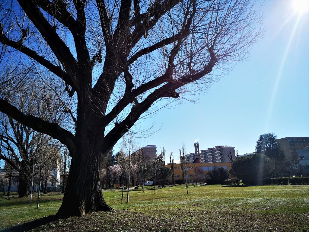 Un raggio di sole illumina il parco Giorgella