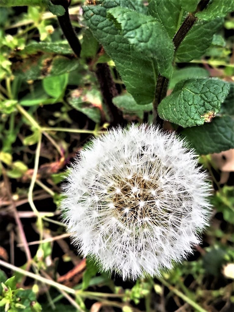 È breve il tempo che resta. Poi saremo scie luminosissime.