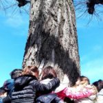 Bambini intorno all'albero. Fotografia di Marzia Cassandro