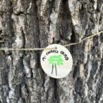 conosciamo gli alberi