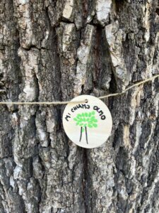 conosciamo gli alberi