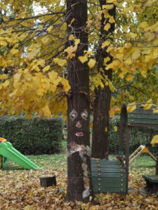 l'albero Giacomino con la sciarpa di foglie