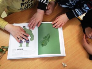 Bambini che provano ad identificare il colore di una foglia usando un libro con un campionario cromatico